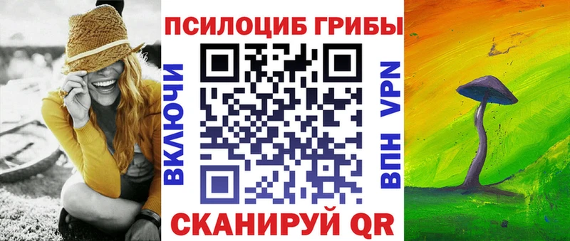 MEGA ссылка  Богданович  Галлюциногенные грибы Psilocybe 