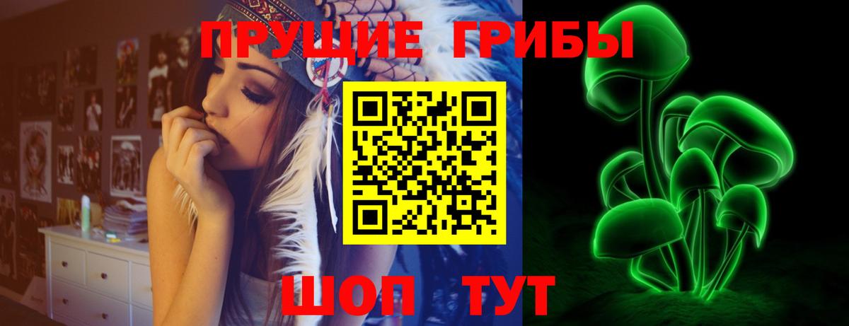Богданович  Галлюциногенные грибы MAGIC MUSHROOMS  Вход с VPN 