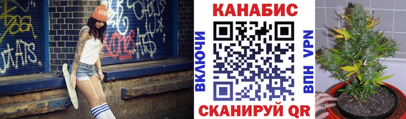 Каннабис индика Богданович